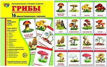 Грибы съедобные и несъедобные. 16 демонстрационных картинок с текстом