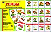Грибы съедобные и несъедобные. 16 демонстрационных картинок с текстом