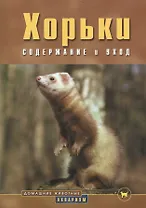 Хорьки. Содержание и уход