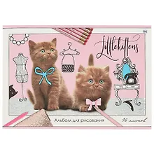 Альбом для рисования «Little kittens» BG А4, 16 листов, скрепка, в ассортименте