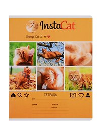Тетрадь в клетку BG «InstaFun» в ассортименте, 24 листа
