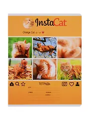 Тетрадь в клетку BG, InstaFun, А5, 24 листа, в ассортименте