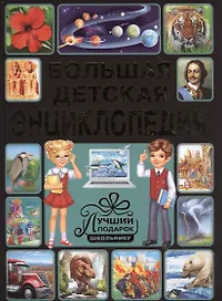 Большая детская энциклопедия. Лучший подарок школьнику