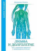 Лимфа и долголетие. Путь к укреплению иммунитета и предупреждению болезней