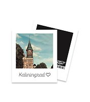 Открытка полароид Калининград. Кафедральный собор