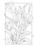 OUTLINES. Раскраска «BOTANIC GARDEN» - 2