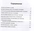 Жизнь и смерть хулигана. Сергей Есенин глазами друзей и врагов - 2
