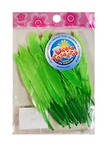 Набор перьев для декора зеленые (511680) (20шт.) (14х1,5х0,1см) (Школа талантов) (упаковка)