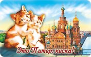 Сувенир, АКМ, Магнит винил СПБ.Два котика.Это Питер, киска!