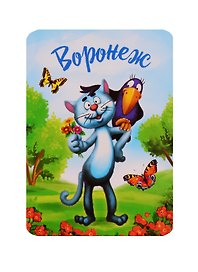ГС Магнит Воронеж Котик (3252746)