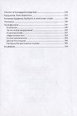 Деревенская беседа. Василий Белов и его товарищи - 2