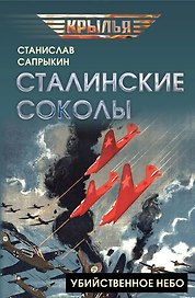 Сталинские соколы. Убийственное небо