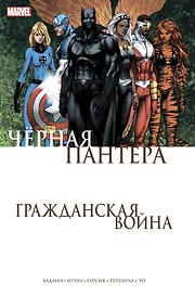 Гражданская война. Чёрная Пантера