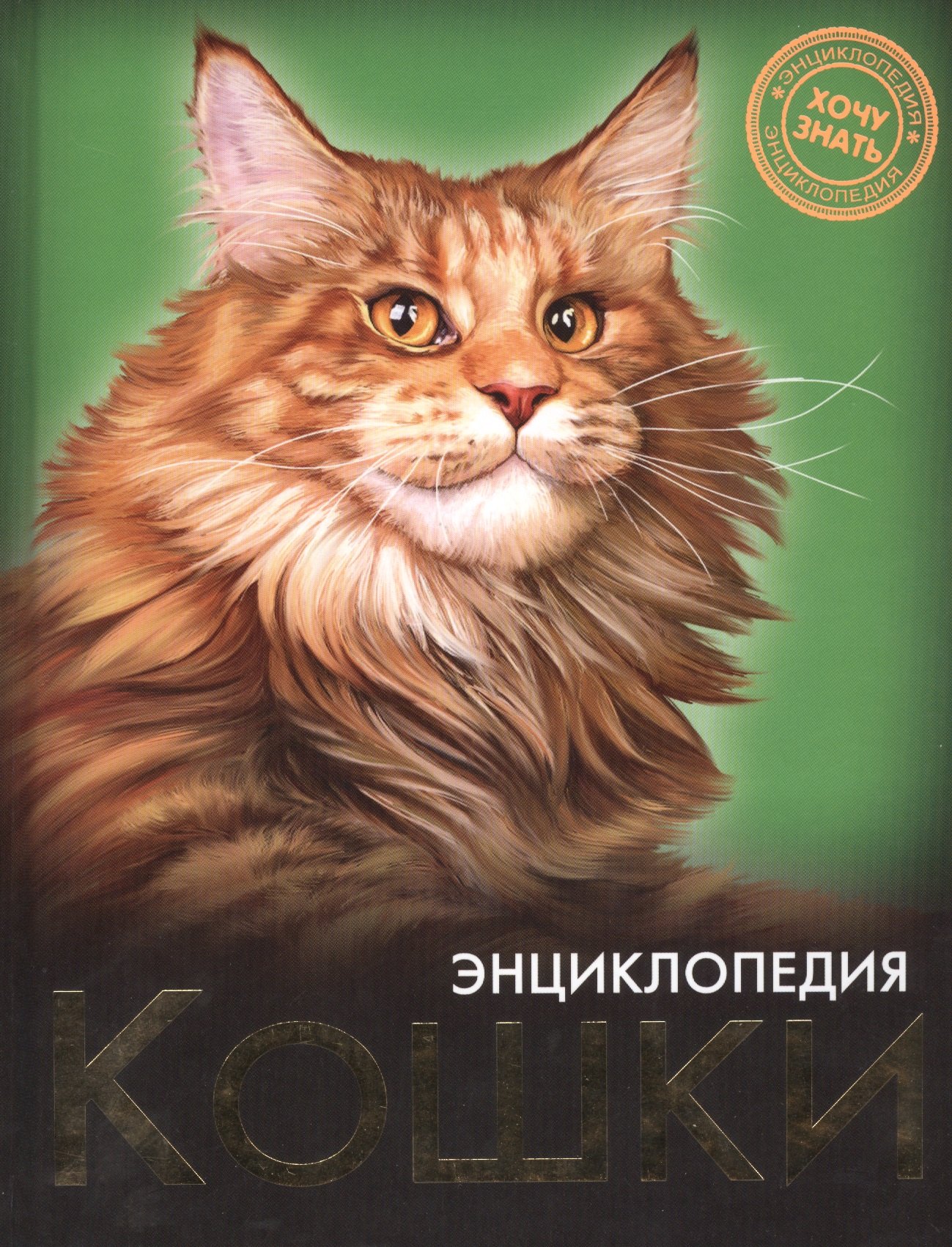 

Кошки