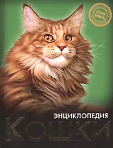 Кошки