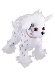 Китайская хохлатая