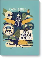 Без ума от жуков