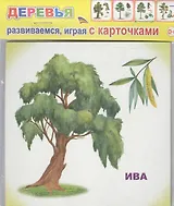 Обучающие карточки. Деревья