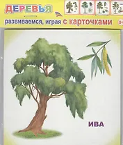 Обучающие карточки. Деревья