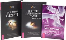 Посланник небес + Наши проводники + Все мои связи (комплект из 3 книг)