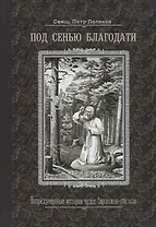Под сенью благодати. Непридуманные истории чудес Саровской обители