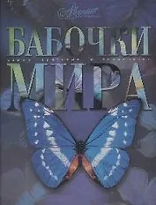 Бабочки мира