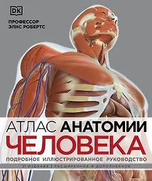 Атлас анатомии человека (DK). Подробное иллюстрированное руководство