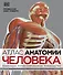 Атлас анатомии человека (DK). Подробное иллюстрированное руководство - 0