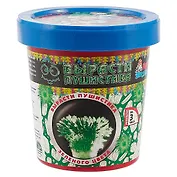 Набор для опытов, Серия Лучшие эксперименты Вырасти зеленого пушистика 120гр.