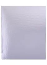 Тетрадь в клетку Hatber, "Metallic Croco Серебро", 48 листов