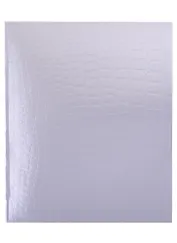 Тетрадь в клетку Hatber, "Metallic Croco Серебро", 48 листов