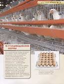 Животные фермы. Детская энциклопедия (новая обл.) - 2