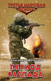 Период распада: роман