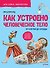 Как устроено Человеческое тело. От клетки до сердца - 0