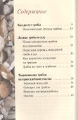Грибы.Выращивание для себя и на продажу - 1