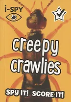 i-SPY Creepy crawlies: What can you spot?