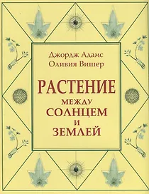 Растение между солнцем и землей
