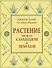 Растение между солнцем и землей - 0