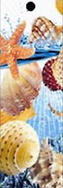 Закладка 3D Ракушки (BKM04SHELL) (Листопадова)
