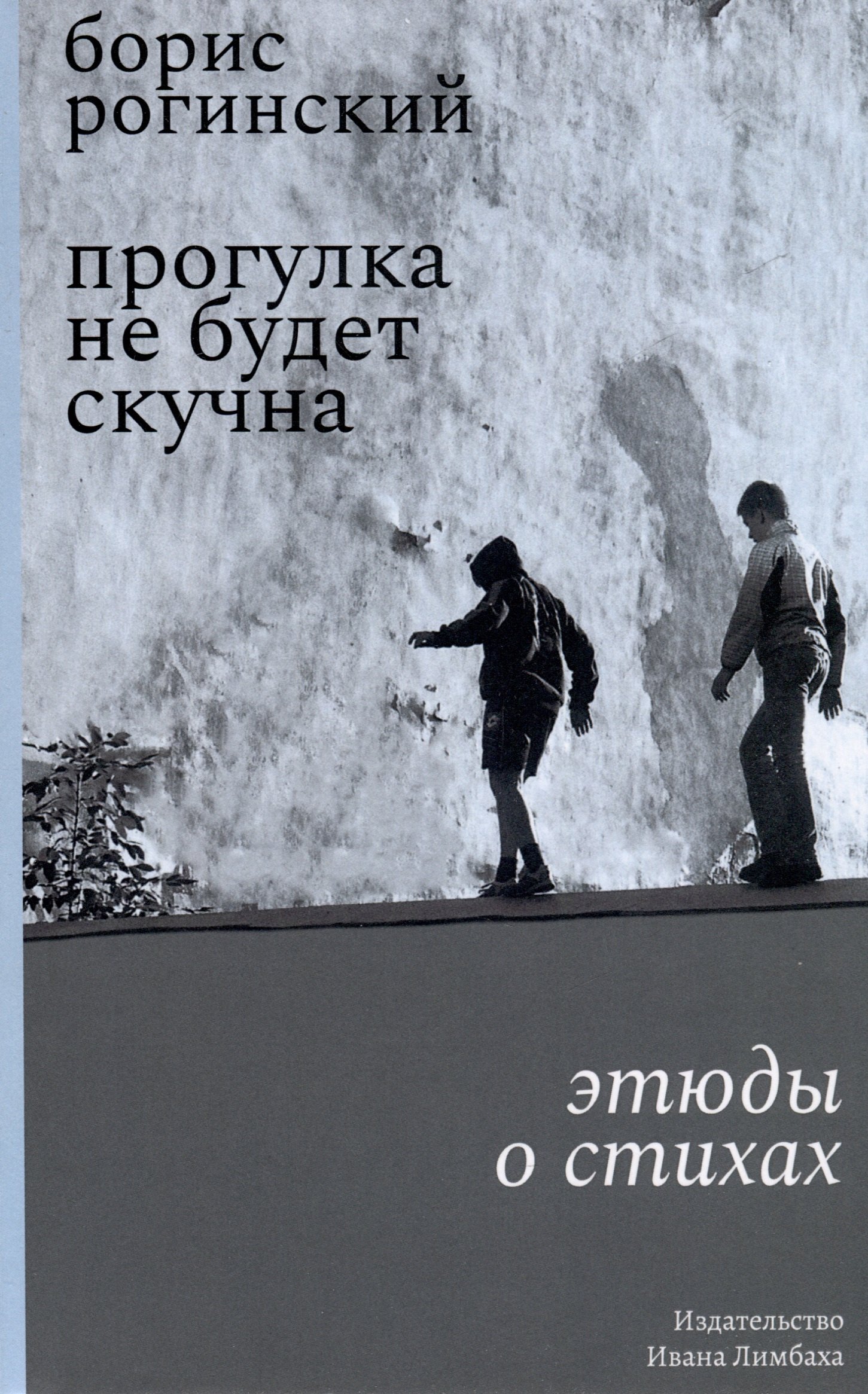 

Прогулка не будет скучна. Этюды о стихах