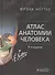 Атлас анатомии человека. Неттер. 6-е изд. - 0