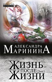 Жизнь после Жизни: роман в 2-х т.: Т. 2