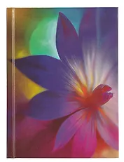 Книга для записей А6 64л кл. "Вдохновение!" 7БЦ, ламинация Chameleon, офсет