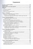 Чистый язык и символическое моделирование. Эффективный коучинг через метафоры - 1