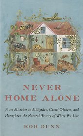 Never Home Alone