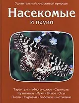 Насекомые и пауки
