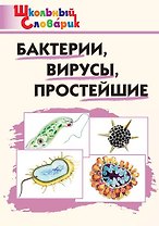 Бактерии, вирусы, простейшие. Начальная школа