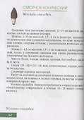 Грибы - 2