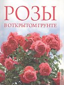 Розы в открытом грунте - 0