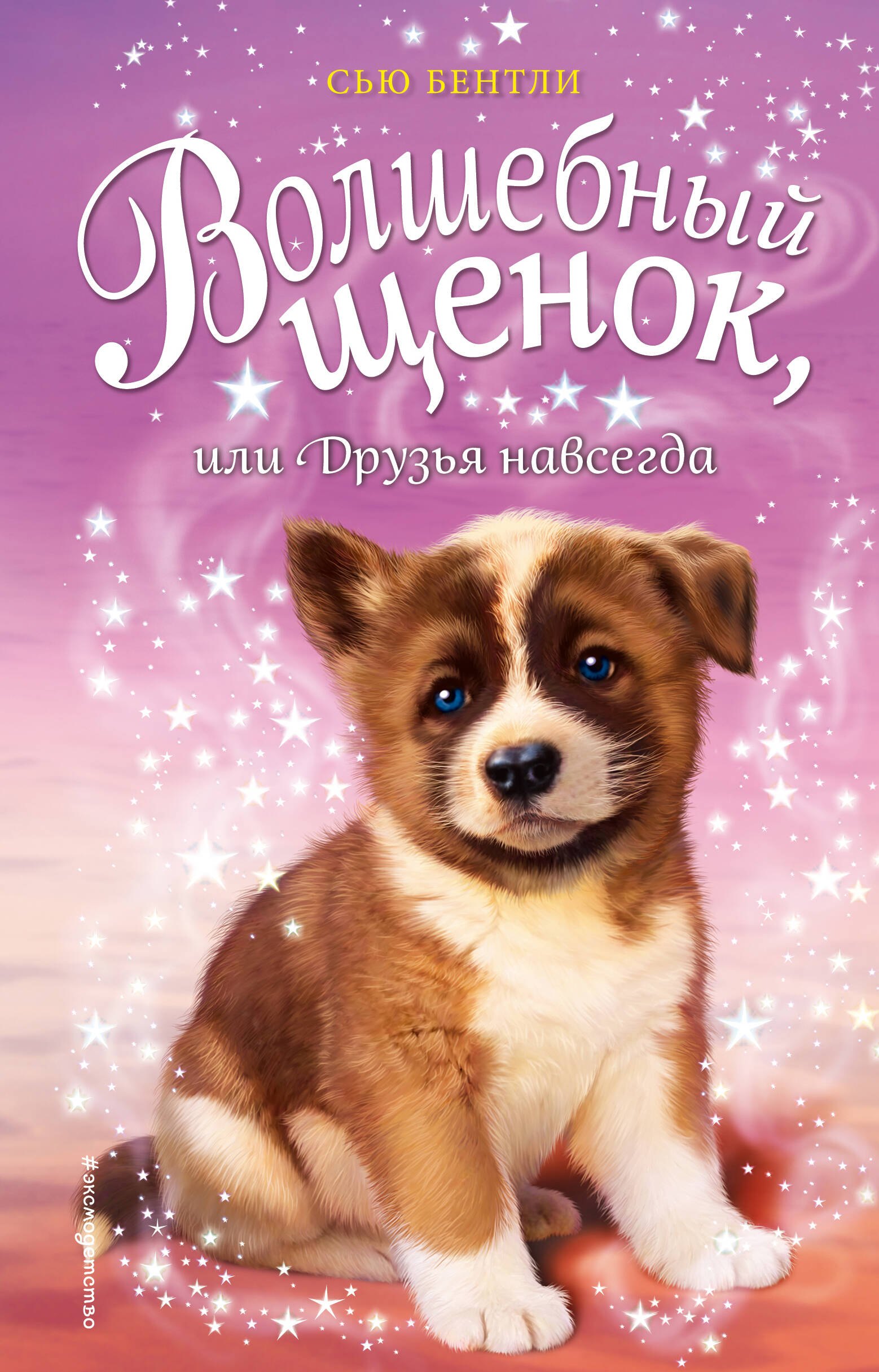 

Волшебный щенок, или Друзья навсегда (выпуск 9)